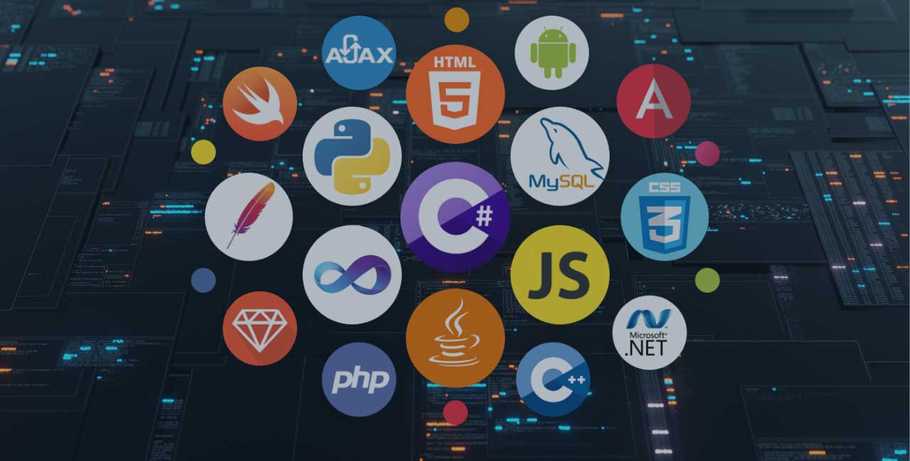 بهترین زبان برنامه نویسی برای مهاجرت
